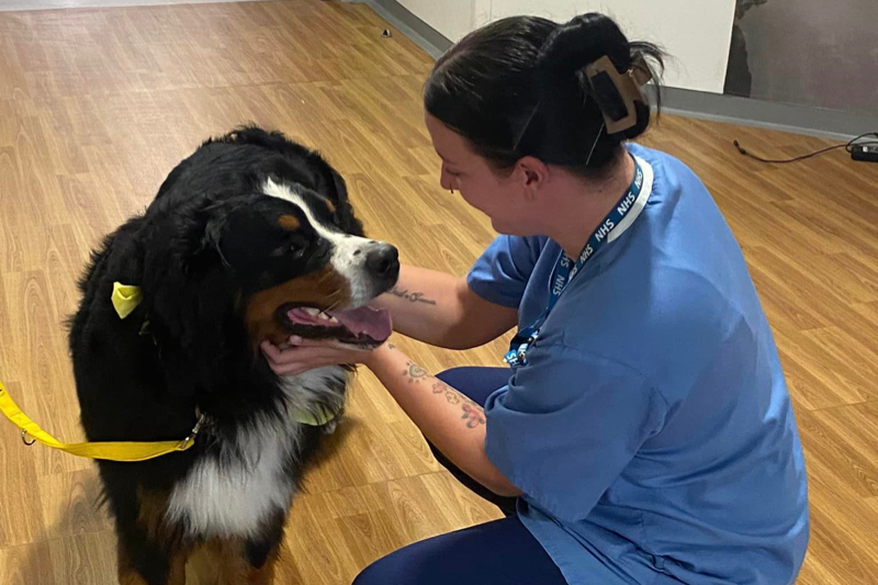 NHS Service Animals