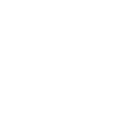 LIncs Charity Icon BBQ