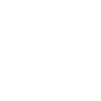 LIncs Charity Icon Cake Sale